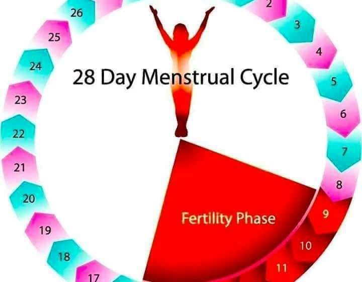 How to make your period flow faster and finish quicker.