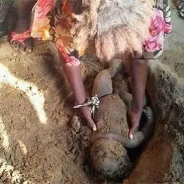 Nigerian woman buries son alive because of paternity issues.
