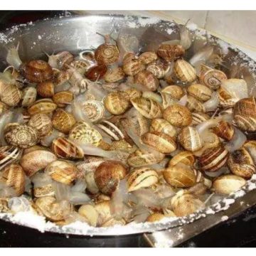 How to clean and cook snails.