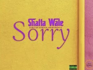 Mp3 Download Shatta Wale sorry 